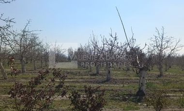 PARCELA EN VENTA