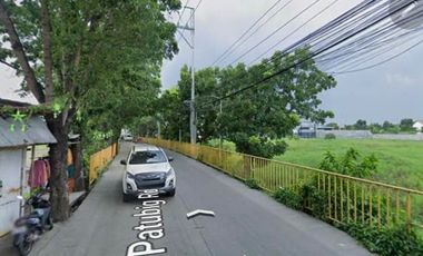 For Sale: Agricultural/Commercial Lot along the Road in Marilao Bulacan, P480M
