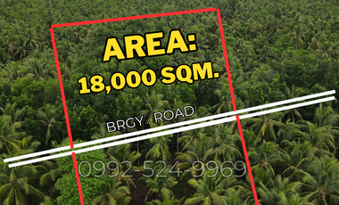 Prime Residential (Farm) Lot For Sale: Camotes Island, Cebu