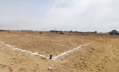 Lote 465M2 En Venta Pimentel Chiclayo T.Eneque