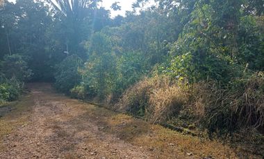 VENDO LOTE URBANIZADO EN PEDRO VICENTE MALDONADO, QUINTA VACACIONAL
