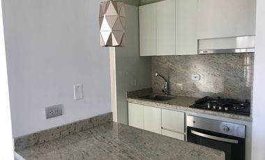 APARTAMENTO EN ARRIENDO ALAMEDA DEL RIO #10385138