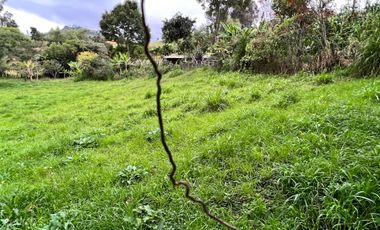 Hacienda en venta en Zalapa