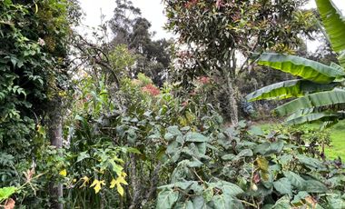 Hacienda en venta en Zalapa