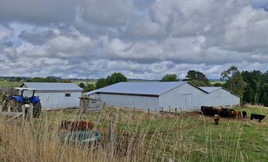 TERRENO 70 HA, SAN CARLOS, LOS MUERMOS, REGION DE LOS LAGOS