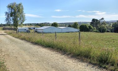 TERRENO 70 HA, SAN CARLOS, LOS MUERMOS, REGION DE LOS LAGOS