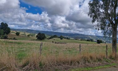TERRENO 70 HA, SAN CARLOS, LOS MUERMOS, REGION DE LOS LAGOS
