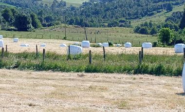 TERRENO 70 HA, SAN CARLOS, LOS MUERMOS, REGION DE LOS LAGOS