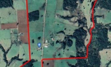 TERRENO 70 HA, SAN CARLOS, LOS MUERMOS, REGION DE LOS LAGOS