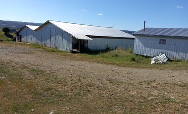 TERRENO 70 HA, SAN CARLOS, LOS MUERMOS, REGION DE LOS LAGOS