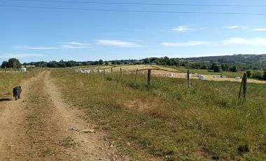 TERRENO 70 HA, SAN CARLOS, LOS MUERMOS, REGION DE LOS LAGOS
