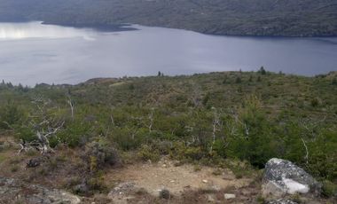 Vendo 40 hectáreas, con orilla Lago Cochrane. Comuna de Cochrane. Región de Aysén