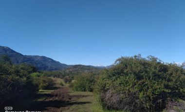 Vendo 40 hectáreas, con orilla Lago Cochrane. Comuna de Cochrane. Región de Aysén