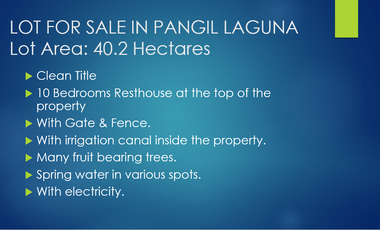 Lot for Sale in Pangil Laguna 40.2 Hectares