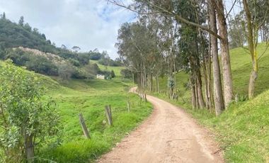 Oportunidad Terreno 2 Hectáreas en venta sector Tutupali Chico - Cuenca