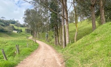 Oportunidad Terreno 2 Hectáreas en venta sector Tutupali Chico - Cuenca