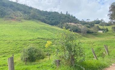 Oportunidad Terreno 2 Hectáreas en venta sector Tutupali Chico - Cuenca