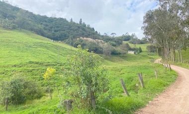 Oportunidad Terreno 2 Hectáreas en venta sector Tutupali Chico - Cuenca