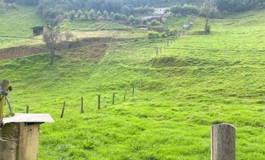 Oportunidad Terreno 2 Hectáreas en venta sector Tutupali Chico - Cuenca