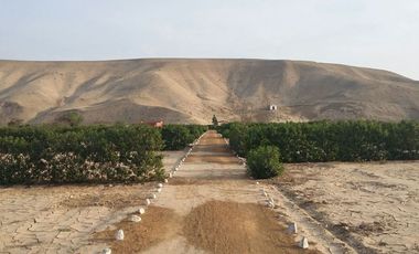 Venta de lote  Asia