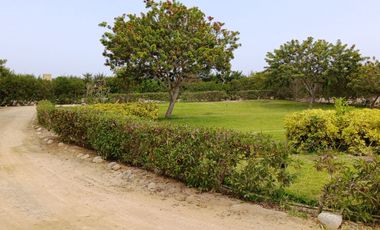 Venta de lote  Asia