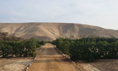 Venta de lote  Asia