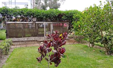 Venta de lote  Asia