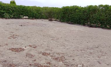Venta de lote  Asia