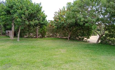Venta de lote  Asia