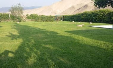 Venta de lote  Asia