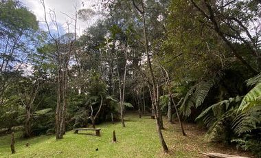 Finca Hotel En Venta En Santa Elena Oriente Antioquia