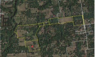 9 hectare farm lot in San Pascual Batangas