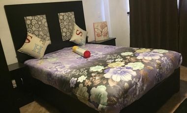 RENTO DEPARTAMENTO PARA EJECUTIVOS EN TEQUISQUIAPAN QUERETARO