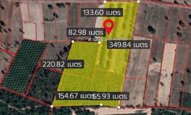 Land sale at rice fields, eucalyptus plantations, 33rai31sqWa. 4MB, Kantararom District, Sisaket