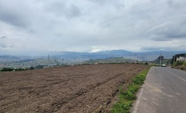 LOTES DE TERRENO EN CONSTANTINO