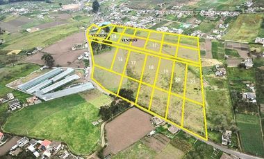 LOTES DE TERRENO EN CONSTANTINO