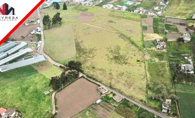 LOTES DE TERRENO EN CONSTANTINO
