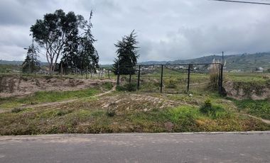 LOTES DE TERRENO EN CONSTANTINO