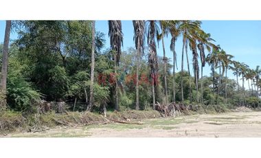 Vendo Terreno De 10 Ha. Frente A La Fabrica San Roque, Pan. Norte, Lambayeque.L.Guevara