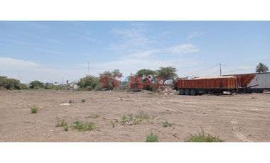 Vendo Terreno De 10 Ha. Frente A La Fabrica San Roque, Pan. Norte, Lambayeque.L.Guevara
