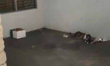 2Story House for Rent in Santos Street Pasay City