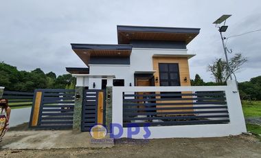 Fully Furnished Modern and Brand New House and Lot for Sale in Babak Island Garden City of Samal