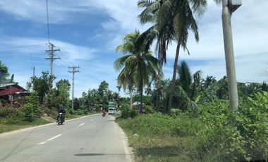 5,520 sq.m Commercial/Residential Lot For Sale in Binayran Road, San Isidro, Tagbilaran City, Bohol