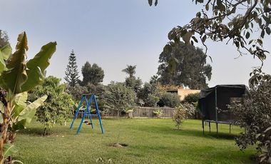 Fundo con casa de canpo y gran area verde en Pachacamac