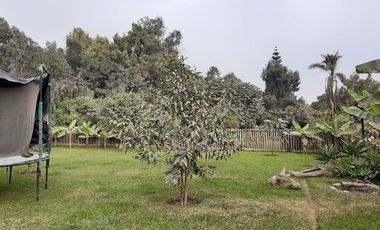 Fundo con casa de canpo y gran area verde en Pachacamac