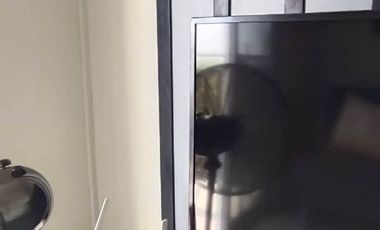 Amaia Steps Nuvali 1br Condo For rent