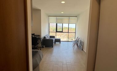 Departamento con Rooftop y Vista Al Lago de Chapala