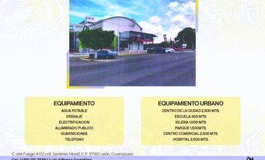 HARINERA SAN JUAN DEL RIO