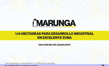 HARINERA SAN JUAN DEL RIO