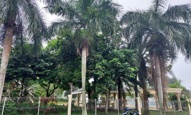 The 2-Storey House for Sale in Metrogate Silang Estates via CALAX